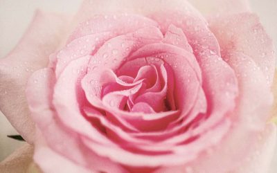 COHERENCIA CARDÍACA