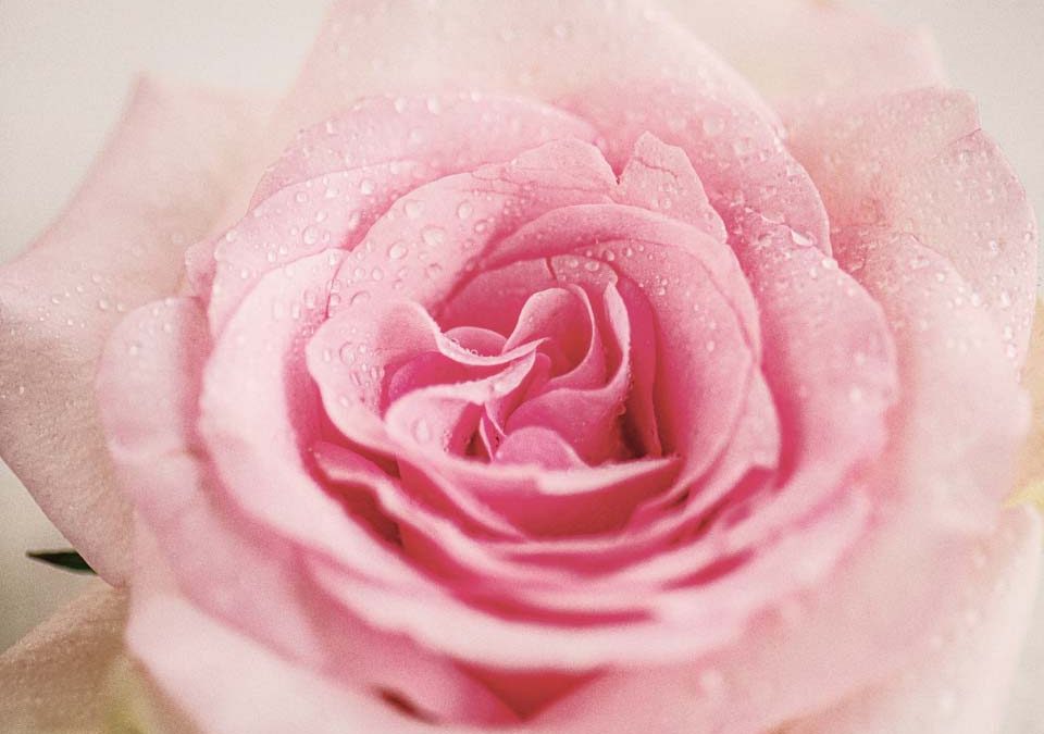 COHERENCIA CARDÍACA