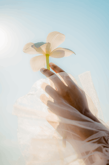 jpeg-optimizer_16 2025_06_03_19_35_11_Mano_en_la_manga_sosteniendo_una_flor_Fotos_de_Canva