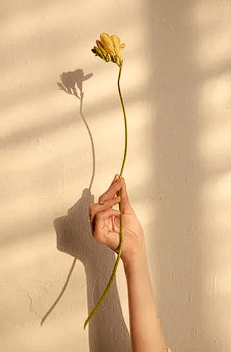 jpeg-optimizer_17 2025_06_03_19_32_37_Mujer_sosteniendo_cristales_blancos_Fotos_de_Canva